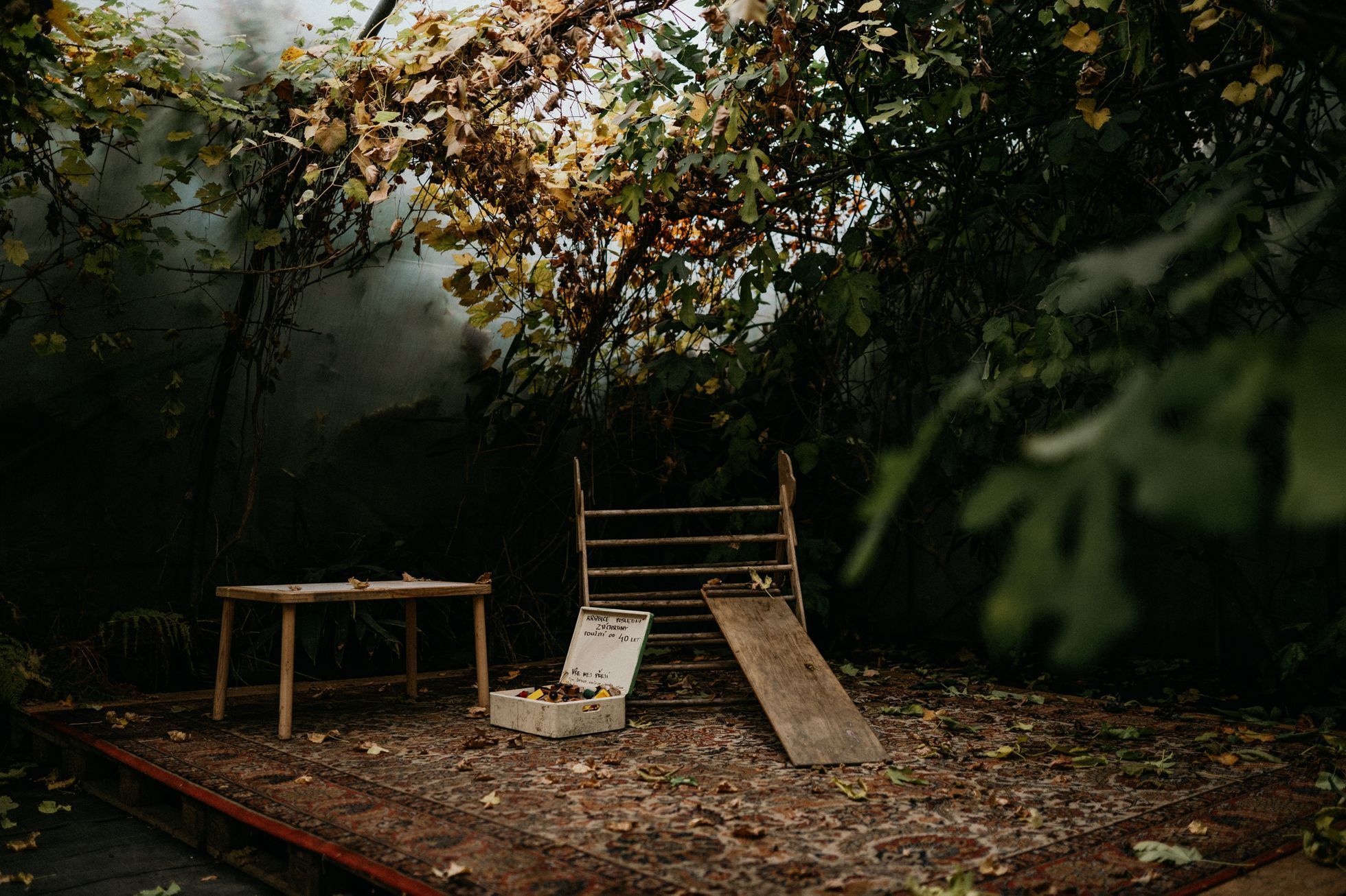 Bambusárium Bohnice