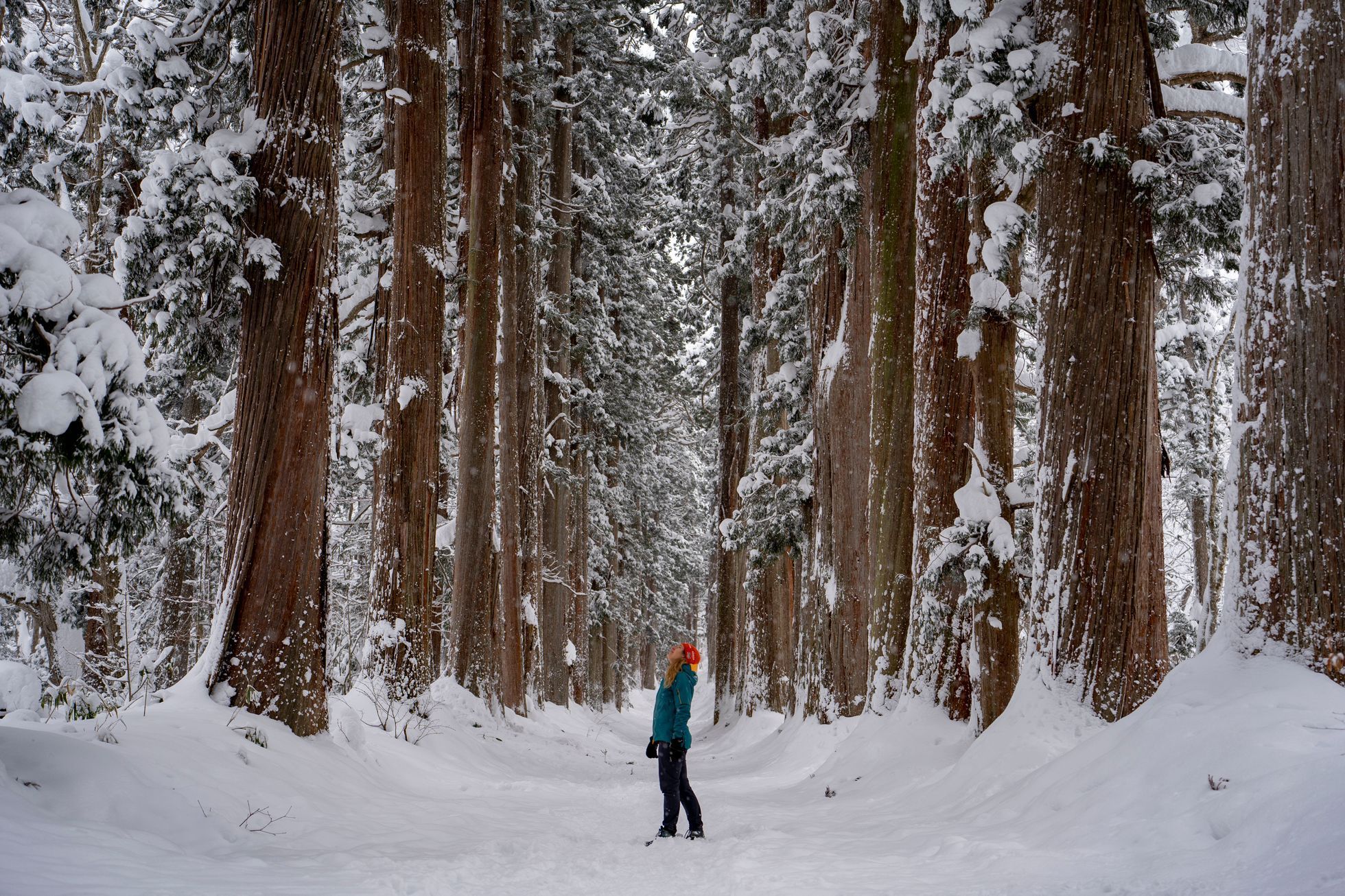 japonsko lyžování hakuba