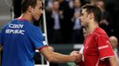 Davis Cup, Švýcarsko - Česko: Lukáš Rosol a Stanislas Wawrinka