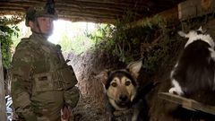 Ukrajinským vojákům na frontě pomáhají i psi