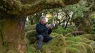 Lars van de Goor - magie stromů a lesů, fotografie