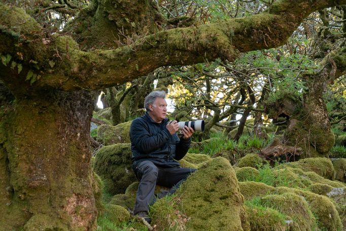 Lars van de Goor - magie stromů a lesů, fotografie