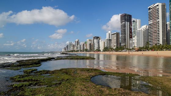 Foto: Brazilci odklízejí ropu, která se vylila na pobřeží. Nikdo neví, odkud pochází