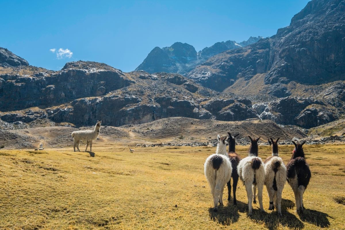 Bolívijská cesta do hor