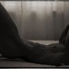 Robert Vano