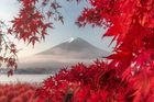 Yukihito Ono (Japonsko) - Podzimní listí. Jeden z 10 finalistů v kategorii Cestování / otevřená soutěž.
