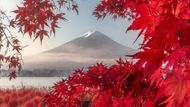 Yukihito Ono (Japonsko) - Podzimní listí. Jeden z 10 finalistů v kategorii Cestování / otevřená soutěž.