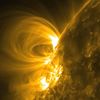 Lotsa Loops As an active region rotated into view, SDO got a good profile look at the constantly changing magnetic field lines arcing high above it (Feb. 23-27, 2011). In extreme ultraviolet light the multitude of lines are revealed because charged particles are spinning along them. The interactions seen here are within an extensive and busy action region. If you watch the clip closely, you can see an eruptive blast (along with a strong flare) from the leading region near the beginning of the clip. These regions will be facing Earth beginning March 3, so for about the following week they could generate “space weather” effects.