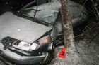 U Jičína zemřel 83letý řidič. Auto narazilo do stromu
