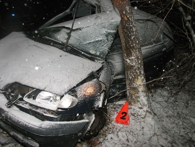 Dvaatřicetiletá řidička osobního automobilu Reanault Megane havarovala na silnici u Skaštic. Na zamrzlé a kluzké vozovce dostala po projetí mírnou levotočivou zatáčkou smyk, vyjela mimo cestu a havarovala v příkopu, kde narazila do vzrostlého stromu. Utrpěla lehké poranění. Uvnitř vozu se nacházely také dvě děti. Obě vyvázly bez zranění.