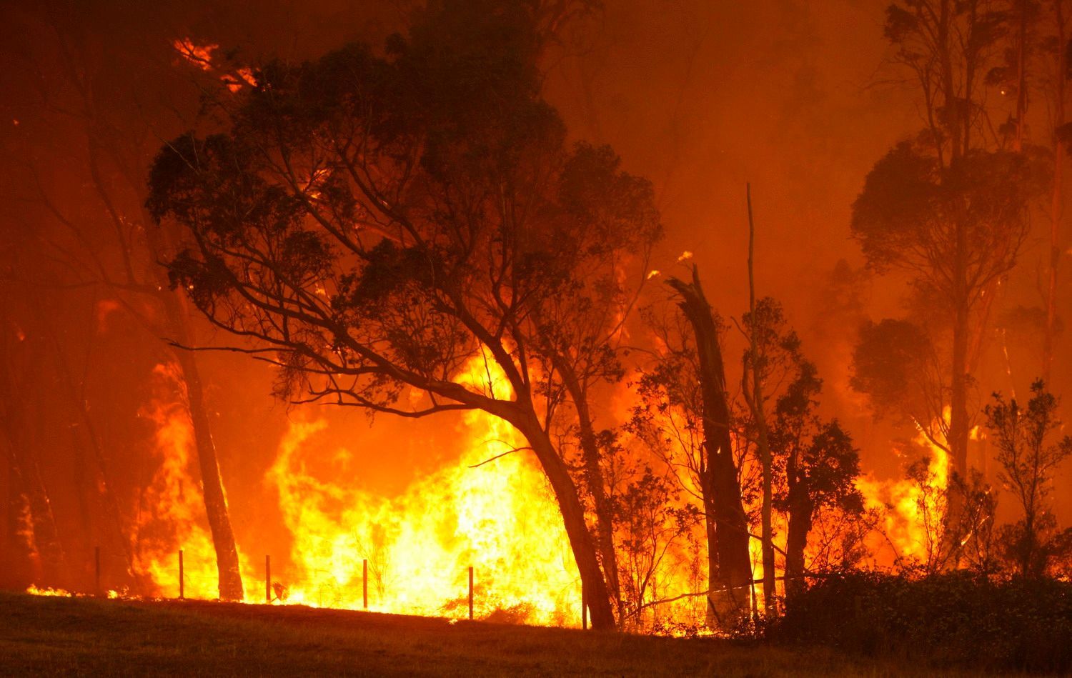požáry v Austrálii