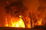 Austrálie se každoročně potýká s více než 60 tisíci požáry. Téměř polovina z nich bývá podle hasičů založena úmyslně.