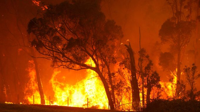 Austrálie se každoročně potýká s více než 60 tisíci požáry. Téměř polovina z nich bývá podle hasičů založena úmyslně.
