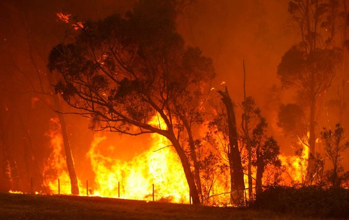 Austrálie se každoročně potýká s více než 60 tisíci požáry. Téměř polovina z nich bývá podle hasičů založena úmyslně.