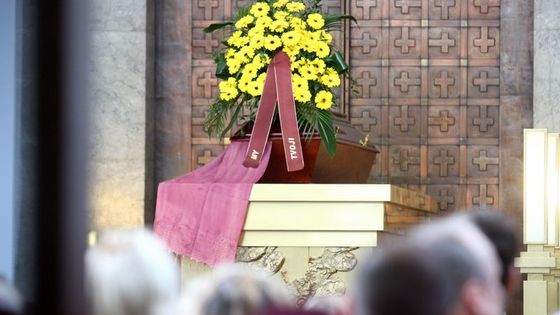 Sbohem, přišly říct Vladimíru Dlouhému desítky lidí