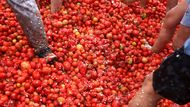 A na závěr: pohled na samotné hrdiny dne, tisíce rajčat, která se během pár hodin proměnila v nezapomenutelnou vzpomínku na kolumbijskou Tomatinu.