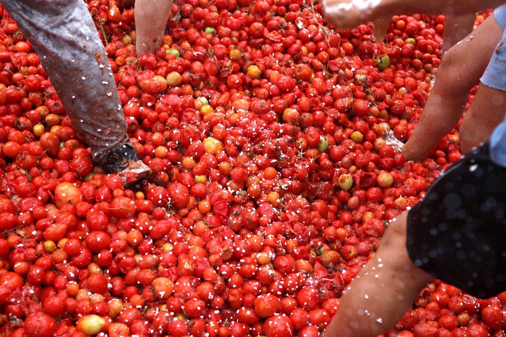 Tomatina, Peru