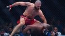 Jiří Procházka vs. Jamahal Hill, UFC