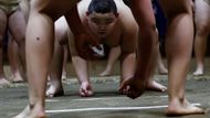 Desetiletý japonský chlapec Kyuta Kumagai je výjimečný. Váží 85 kilogramů a do dvou let hodlá přibrat na 105 kilo. Je sportovec, tvrdě pracuje na tom, aby se stal hvězdou zápasů sumo. Už teď poráží chlapce o pět či šest let starší. Jeho snahu stát se nejlepším zachytil fotoreportér agentury Reuters Kim Kyung-Hoon.