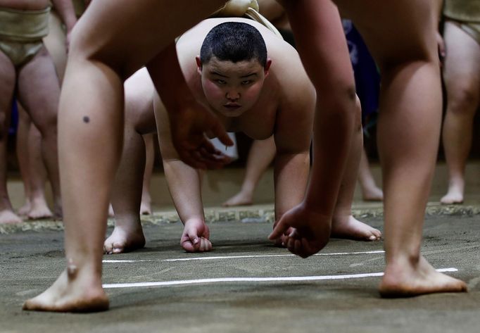 Reuters: mladí zápasníci sumo v Japonsku