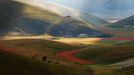 Rozkvetlá letní pole v okolí italské vesnice Castelluccio di Norcia