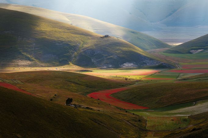 Rozkvetlá letní pole v okolí italské vesnice Castelluccio di Norcia