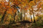 Krásný podzimní les u Kladna skrývá přes šedesát tajemných mohyl z doby bronzové