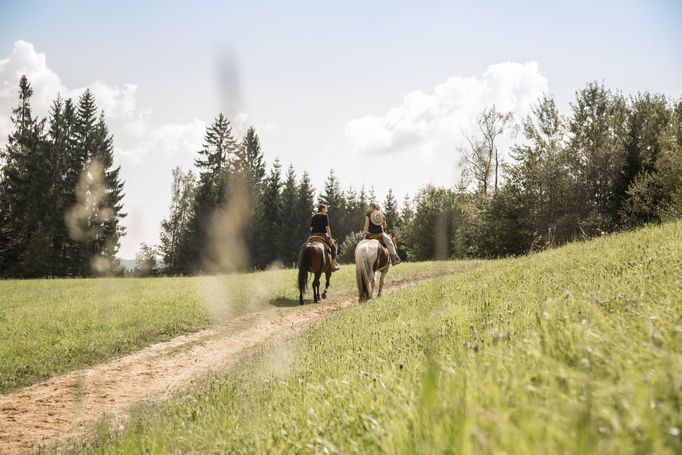 Romantické jezdecké stezky v Horním Rakousku