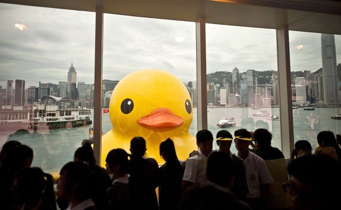 Rubber Duck Art Arrives in Hong Kong May 2, 2013 - Hong Kong, China - A huge rubber duck floats on the waters in Victoria Harbor. It was created by Dutch artist Florentijn Hofman, is 18 meters in length, 15 meters wide and 15 meters high. The duck has visited 12 cities since 2007.