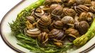 Escargot with asparagus, rosemary, thymus and tomato