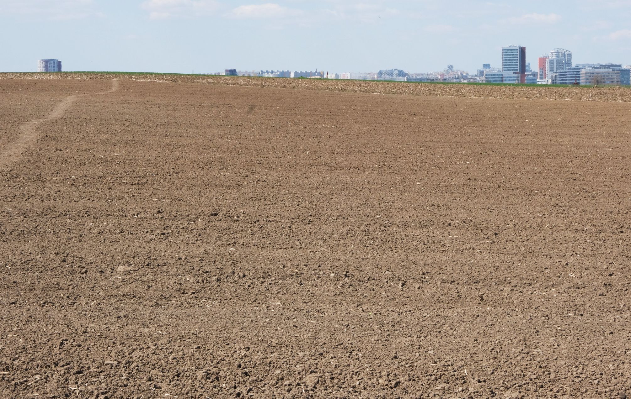 Koně na Dívčích hradech