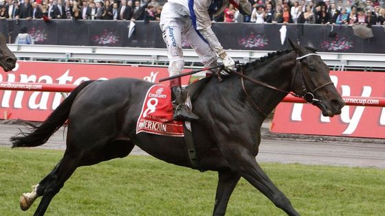 Melbourne Cup vyhrál Americain s francouzským žokejem Mossem