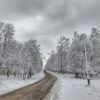 Zasněžené Česko očima čtenářů Aktuálně.cz