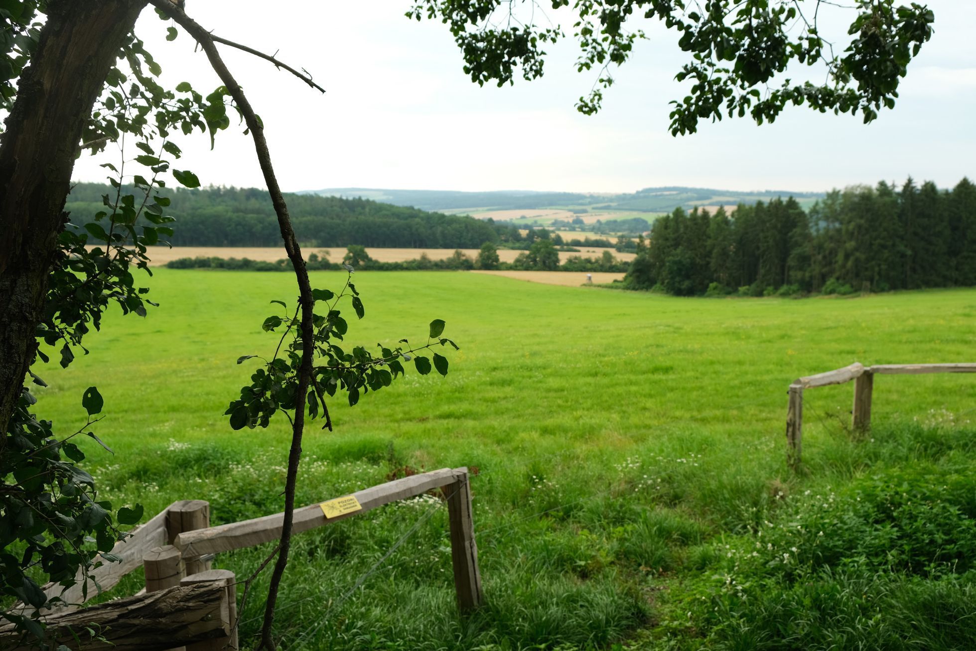 Bio Farma Moulisových