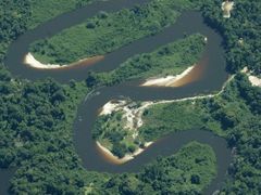 Od roku 1970 se amazonský prales těžbou dřeva zmenšil o více než 700 tisíc čtverečních kilometrů.