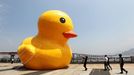 WENZHOU, CHINA - JULY 01: (CHINA OUT) People set up a scaled replica of the rubber duck, originally created by Dutch conceptual artist Florentijn Hofman, on a river on July 1, 2013 in Wenzhou, Zhejiang province of China.