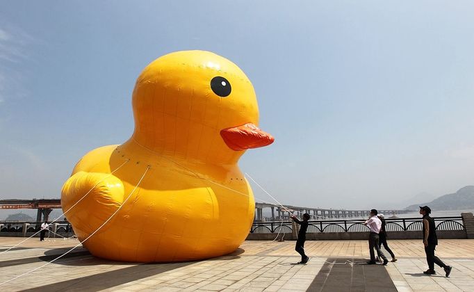 WENZHOU, CHINA - JULY 01: (CHINA OUT) People set up a scaled replica of the rubber duck, originally created by Dutch conceptual artist Florentijn Hofman, on a river on July 1, 2013 in Wenzhou, Zhejiang province of China.