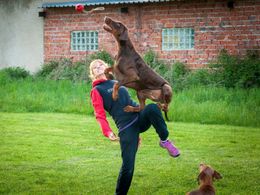 Celý život ji provází láska ke zvířatům, i proto začala podnikat ve výcviku psů.
