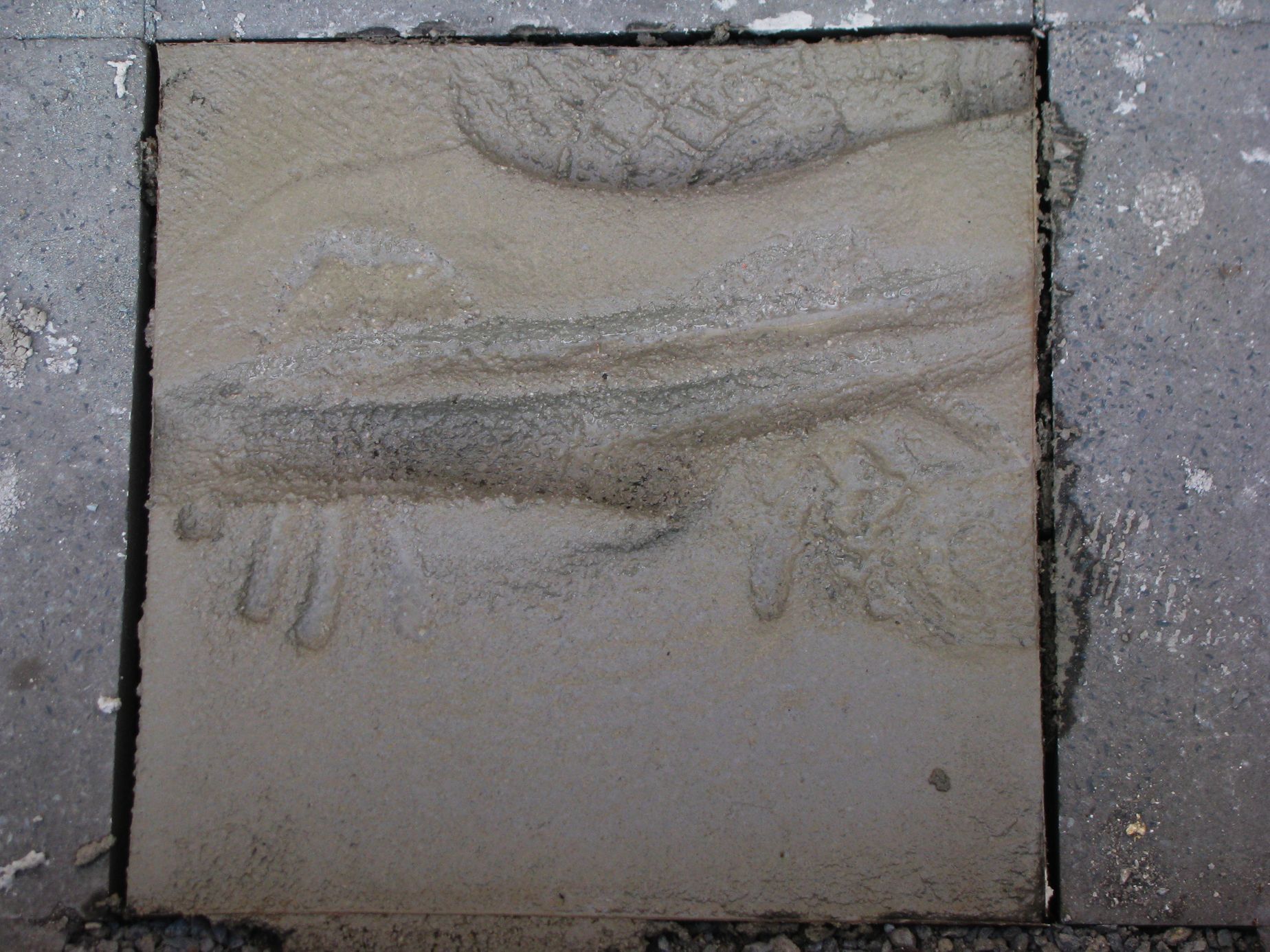 chodník slávy Brno