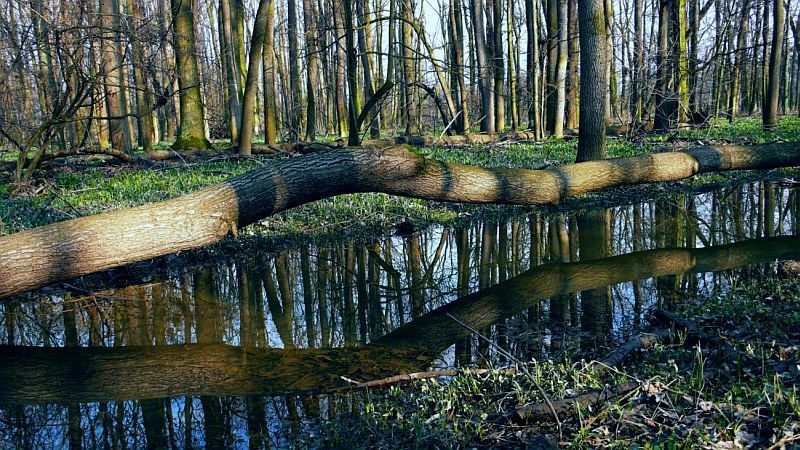 Jaro na Ondře
