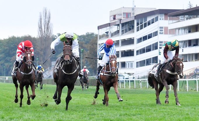 Velká pardubická, 11. října 2020, bez diváků kvůli pandemii COVID-19. Vítězem se stal Hegnus s žokejem Lukášem Matuským.