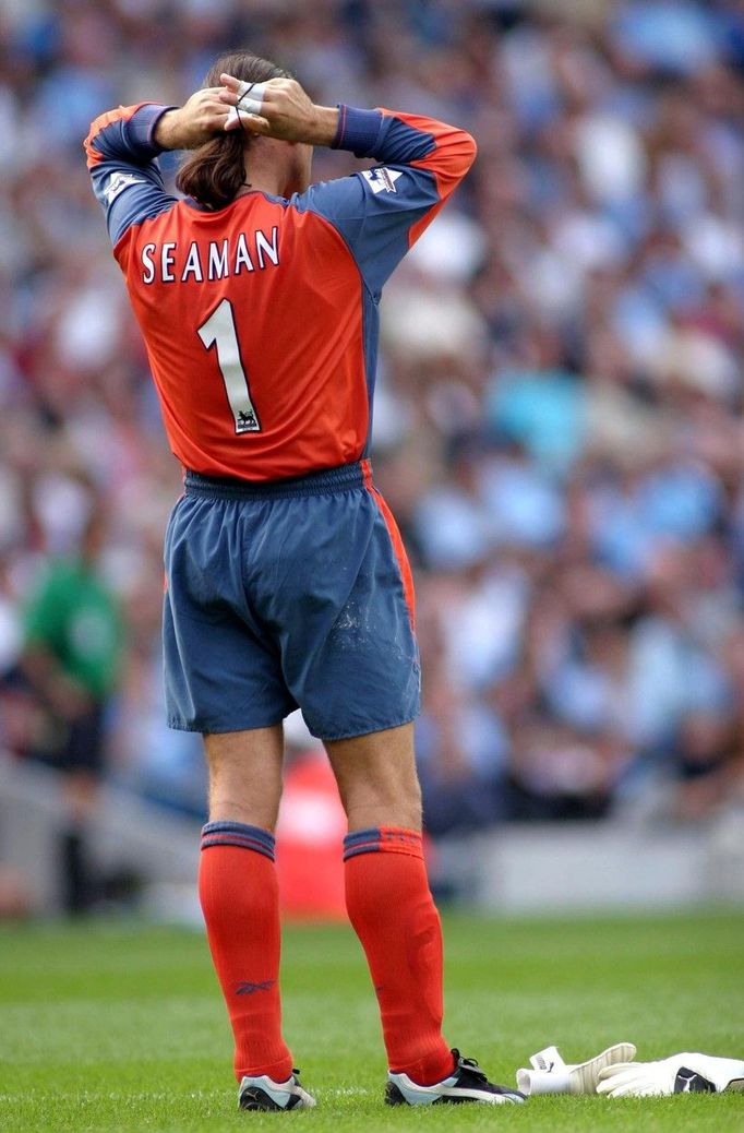 David Seaman