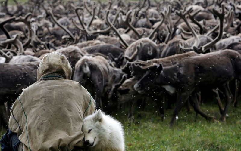 Udrží Nenetové svoje království?