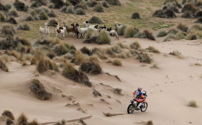 Rallye Dakar, 7. etapa: Sam Sunderland, KTM