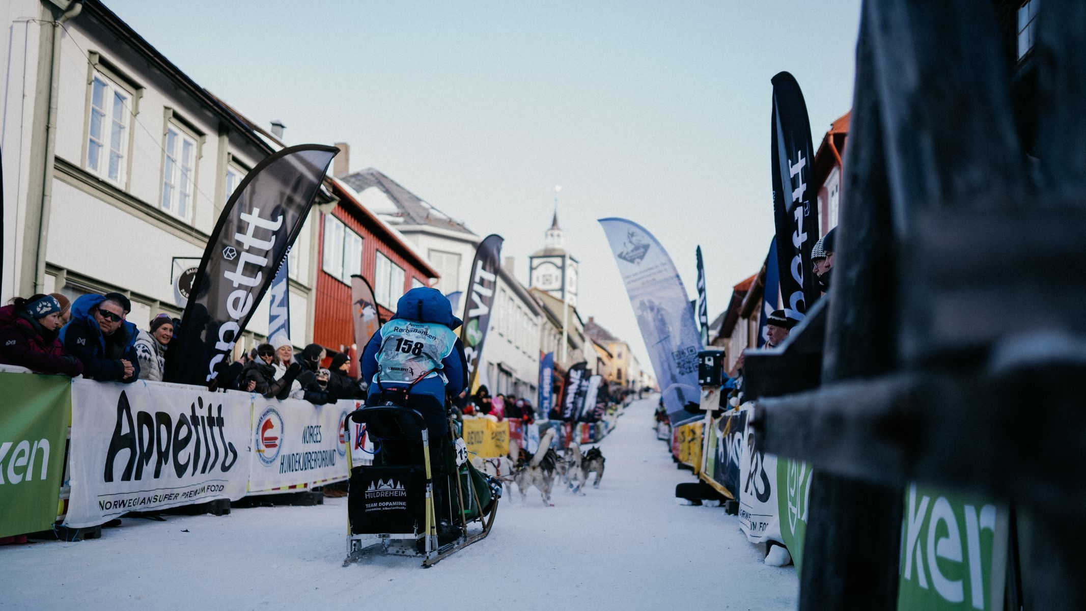 femundlopet psí spřežení mushing norsko