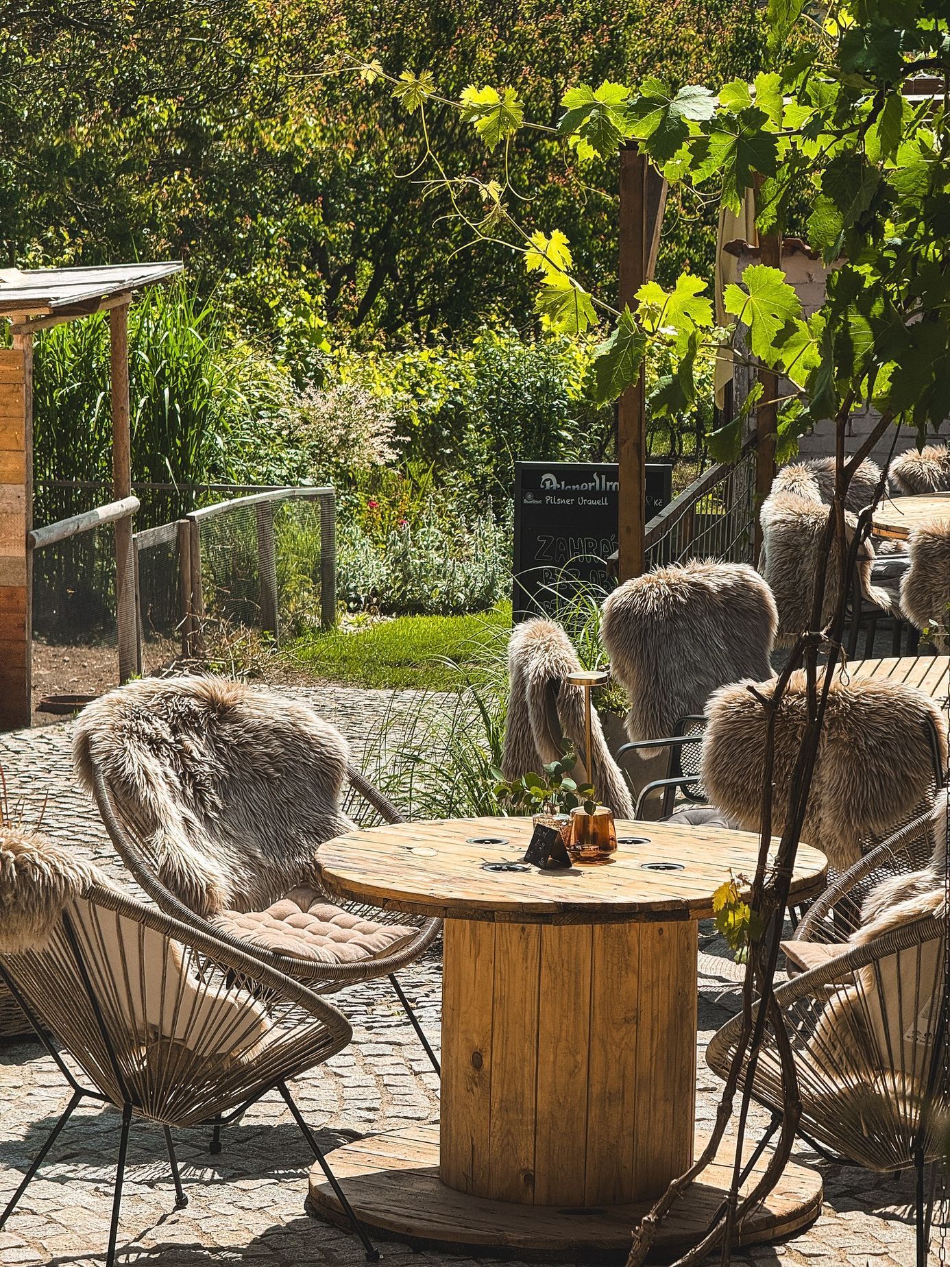 Siesta prosecco Kobylí