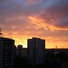 Dokumentujeme.cz - Tropy