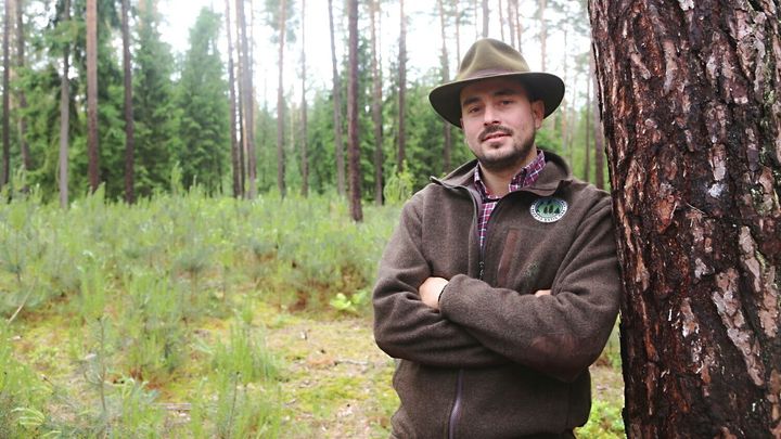 Smrky pěstujeme jako kukuřici, s oteplováním podléhají kůrovci i požárům, říká lesník; Zdroj foto: Aleš Erber