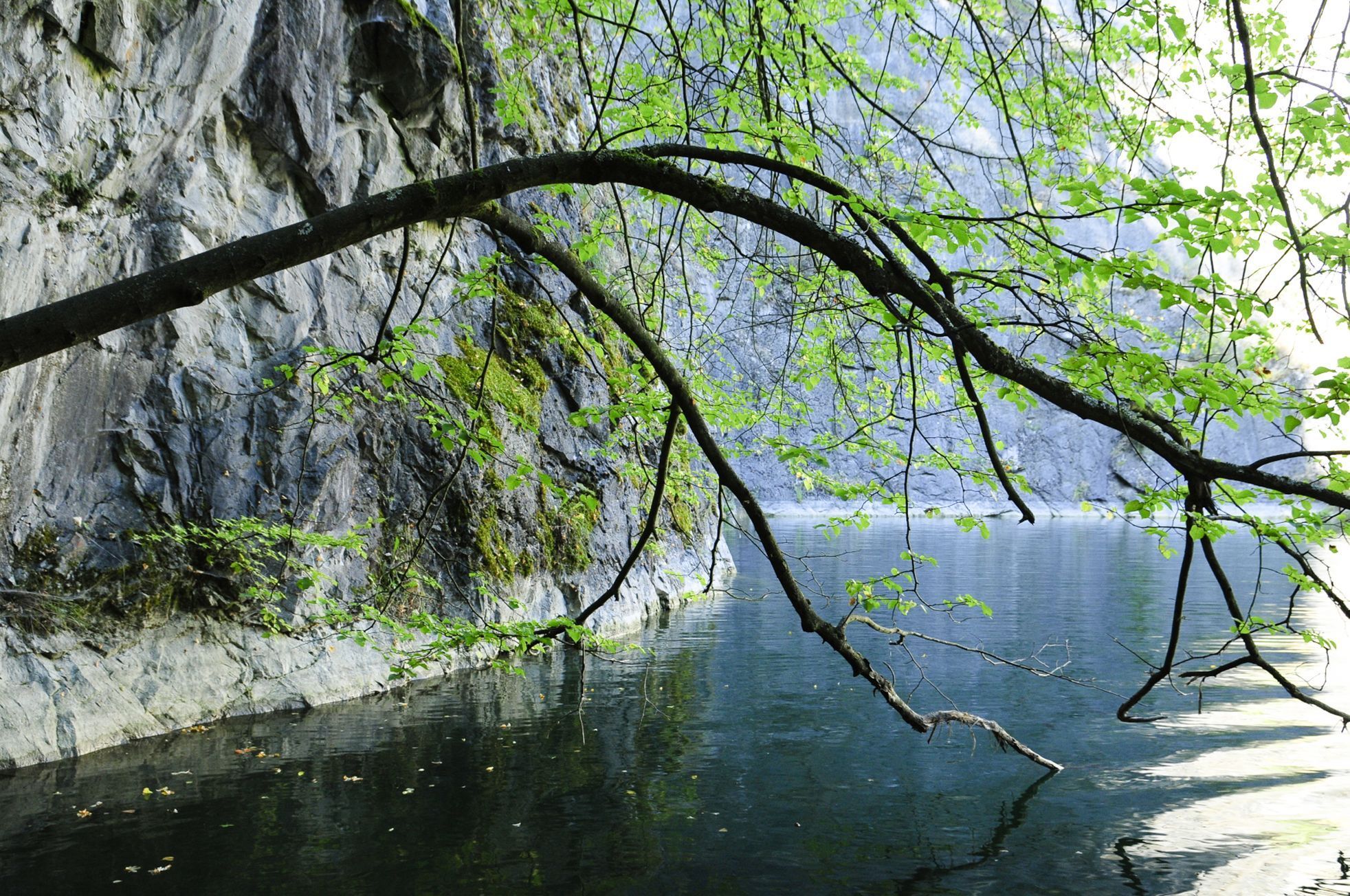 Fotogalerie / CHKO Český Kras / CHKO Český Kras je tu již 50 let