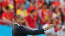 Roberto Martinez, kouč Belgie